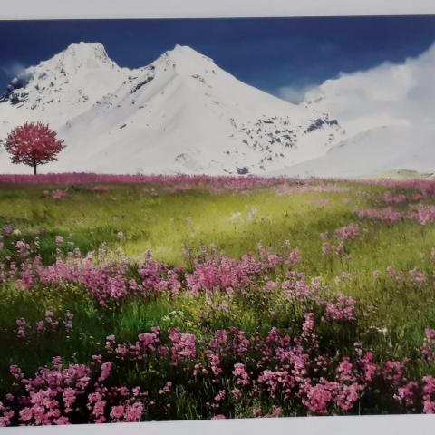 troc de  Cartes postales paysages, sur mytroc
