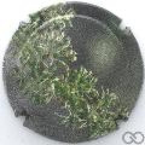 troc de  Capsule Champagne Générique 710 b, sur mytroc