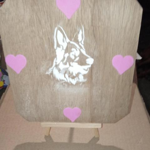 troc de  Deco artisanale fait par moi même sur trepied, sur mytroc