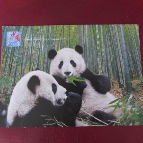 troc de  carte panda, sur mytroc