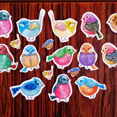 troc de  Oiseaux., sur mytroc