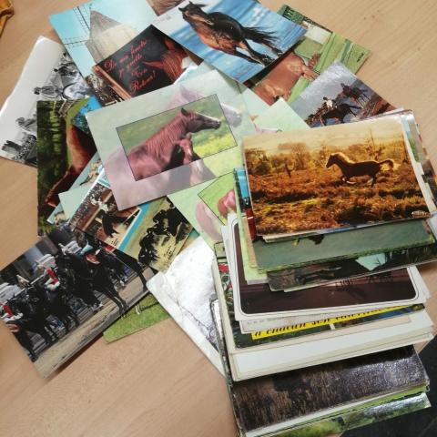 troc de  Lot cartes postales cheval, sur mytroc