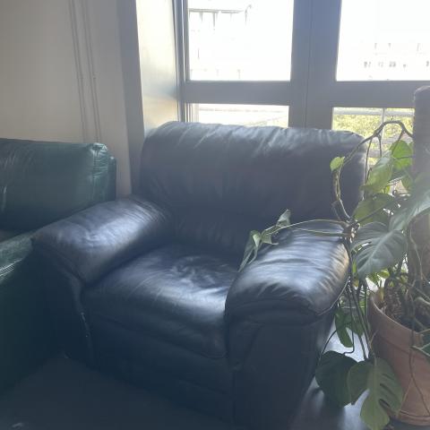 troc de  Fauteuil en cuir, sur mytroc