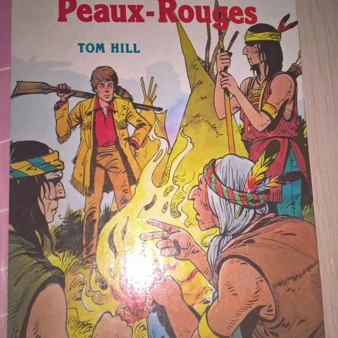 troc de  livre davy crocket, sur mytroc