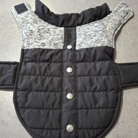 troc de  Manteau hiver petit chien, sur mytroc