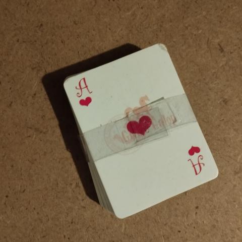 troc de  Mini jeu de 52 cartes Grand Galop, sur mytroc