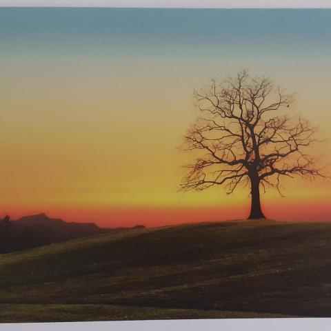 troc de  Cartes postales paysages, sur mytroc
