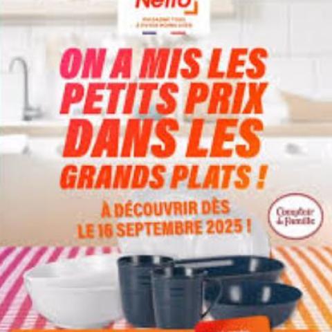 troc de  Lot 10 vignettes Netto Promo en cours Comptoir de Famille -  validité 04/01/26, sur mytroc