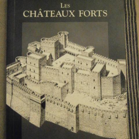 troc de  *RESERVE* Livre "Les châteaux forts", sur mytroc