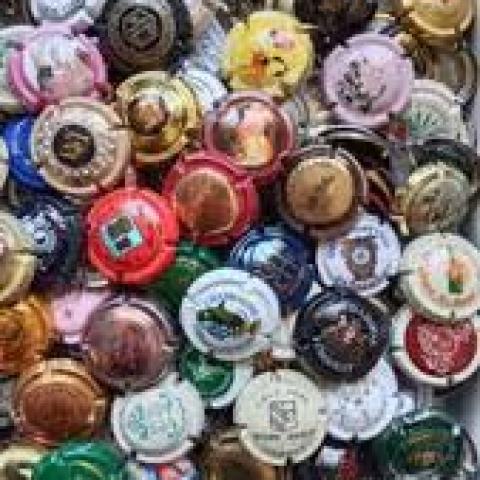 troc de  [Recherche] Capsules Champagnes Mousseux..., sur mytroc