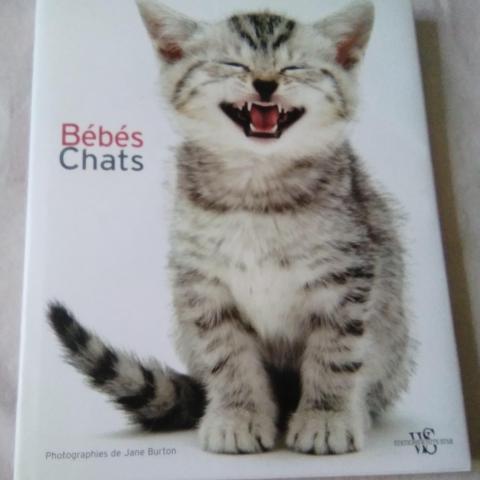 troc de  beau livre sur les chats, très bon état, sur mytroc