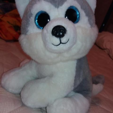 troc de  peluche loup, sur mytroc