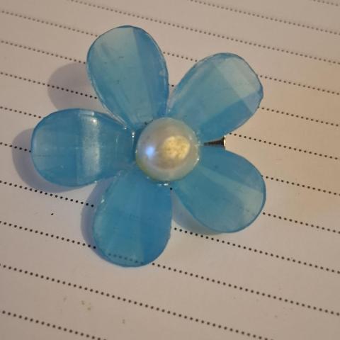 troc de  Broche, sur mytroc