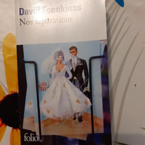 troc de  DVD NOS SEPARATIONS DAVID FOEKINOS, sur mytroc