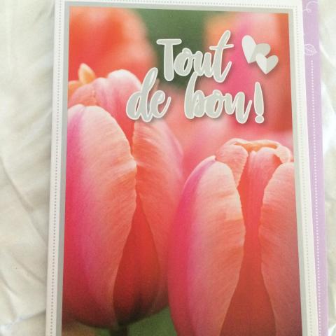 troc de  Carte TOUT DE BON décor tulipes en bouton & son enveloppe parme, sur mytroc