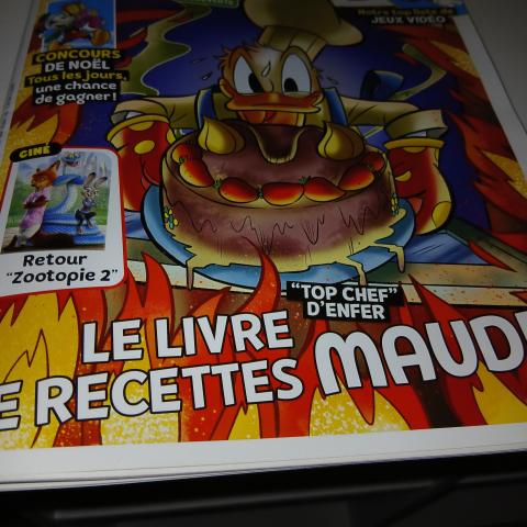 troc de  Revue mickey, sur mytroc