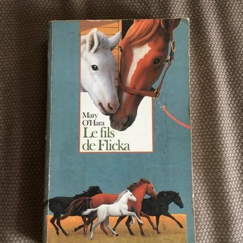 troc de  Le fils de flicka, sur mytroc