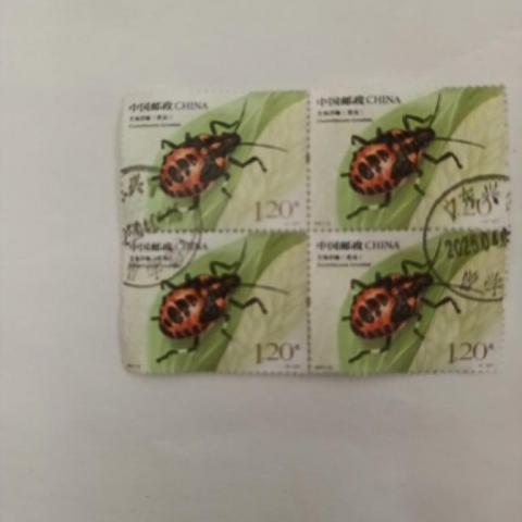 troc de  Timbres du Monde - Chine, sur mytroc