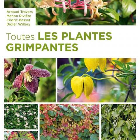 troc de  Recherche le livre " Toutes les plantes grimpantes Éditions Ulmer, sur mytroc