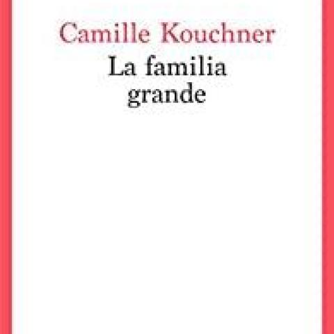 troc de  ’’ La familia grande ’’ Camille Kouchner Seuil 2021, sur mytroc
