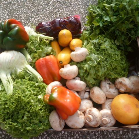 troc de  Echange légumes contre oeufs de poule, sur mytroc