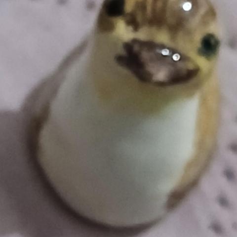 troc de  Une Fève, sur mytroc