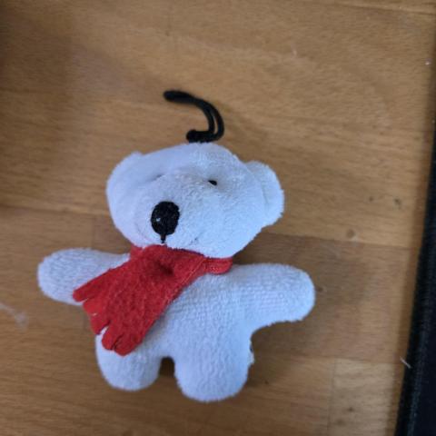 troc de  Petit ours à prendre, sur mytroc