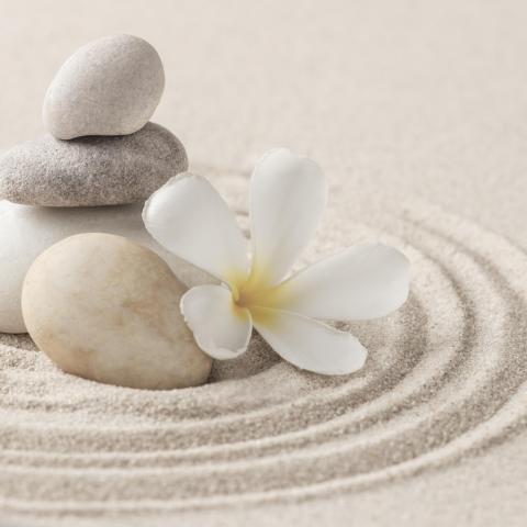 troc de  Atelier bien être pour les femmes 2 jours  contre 1 salle, sur mytroc