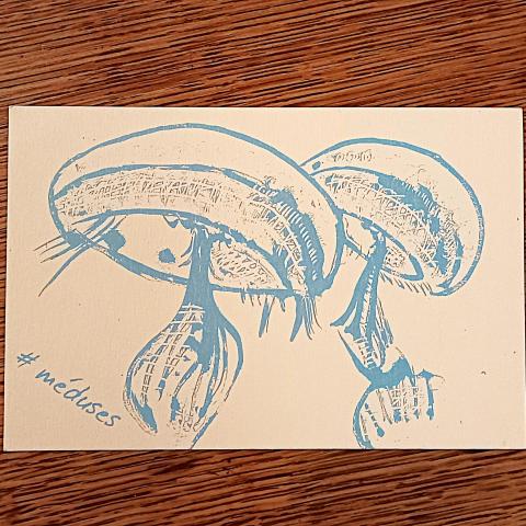 troc de  Carte postale "Méduses"., sur mytroc