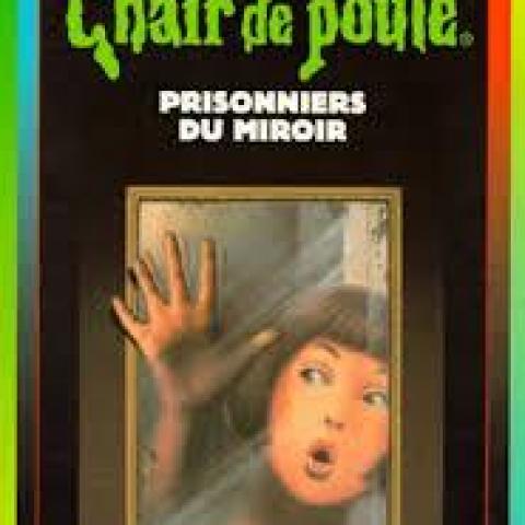 troc de  Livre - Chair de poule- T.4 - Prisonniers du miroir - R. L. Stine, sur mytroc