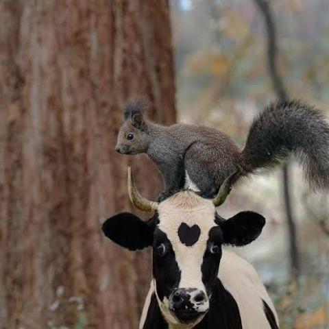 troc de  1 place salon agriculture, sur mytroc