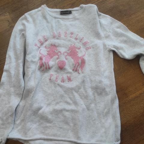 troc de  Pull in extenso 10 ans, sur mytroc