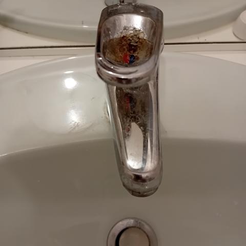 troc de  Robinet de lavabo à changer _ 10 noisettes, sur mytroc