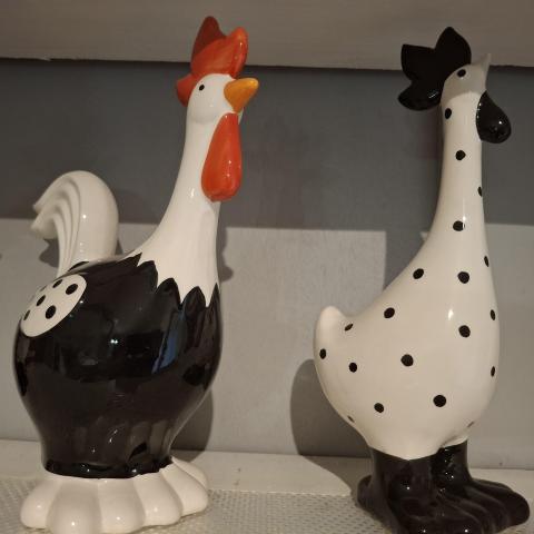 troc de  Poules amadeus, sur mytroc