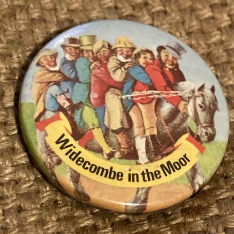 troc de  Badge irlandais, sur mytroc