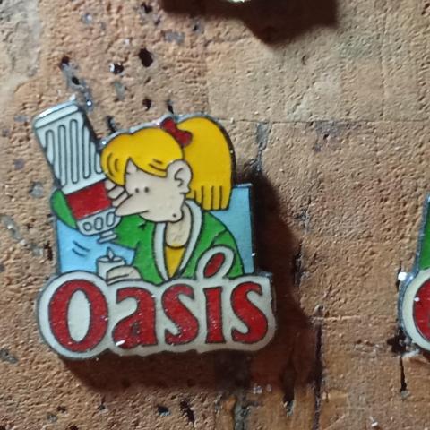 troc de  Lot pin's oasis, sur mytroc