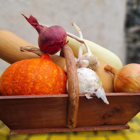 troc de  Échange panier de légumes d'hiver, sur mytroc