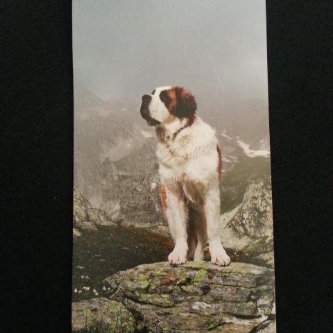 troc de  Carnet de notes SAINT BERNARD, sur mytroc