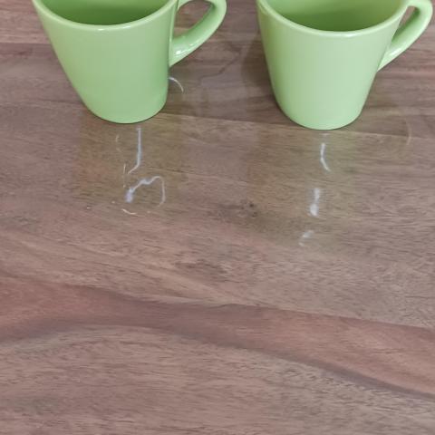 troc de  4 tasses vertes, sur mytroc