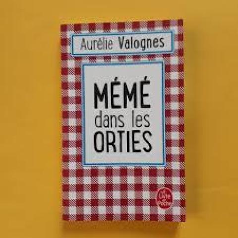 troc de  Livre - Mémé dans les orties - Poche - Aurélie Valognes, sur mytroc