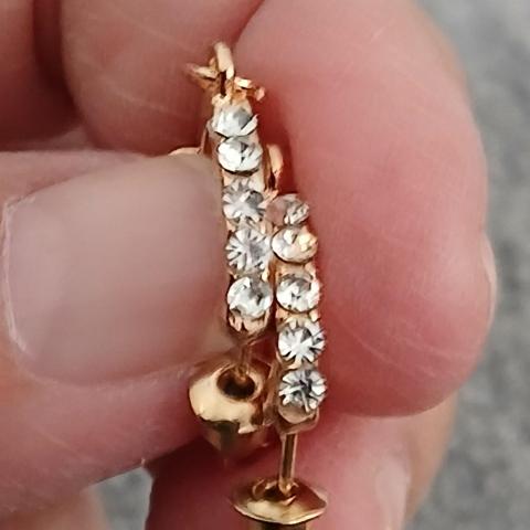 troc de  Une Paire De Boucle D Oreille, sur mytroc