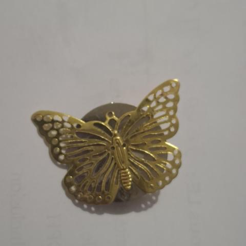 troc de  Broche papillon, sur mytroc