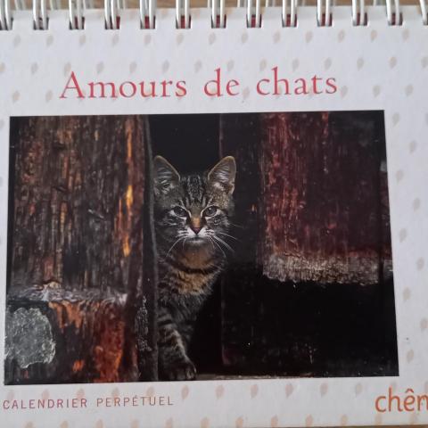 troc de  Calendrier perpétuel, sur mytroc