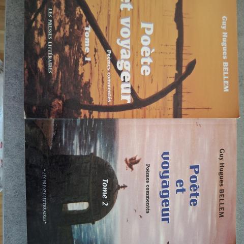 troc de  Roman en 2 volumes, sur mytroc