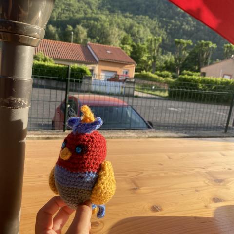 troc de  Perroquet, sur mytroc