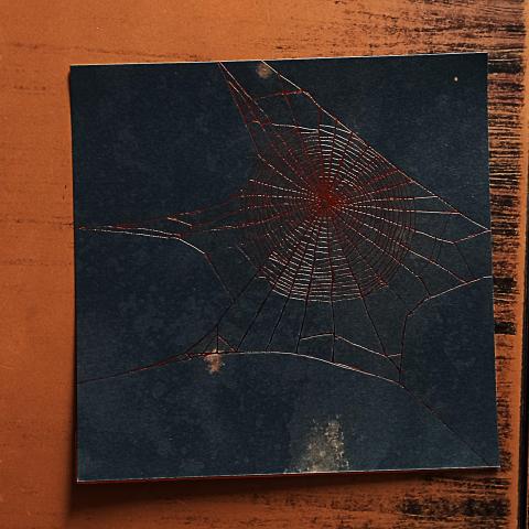 troc de  Carte "Toile d'araignée"., sur mytroc