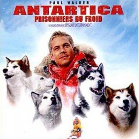 troc de  DVD ANTARTICA PRISONNIERS DU FROID, sur mytroc