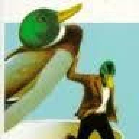 troc de  Livre - Bille en tête - Poche - Alexandre Jardin, sur mytroc