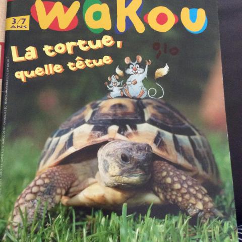 troc de  Revue WAKOU 3/7ans sur la nature n°221 aout  07, sur mytroc