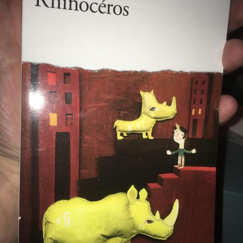 troc de  Rhinocéros, sur mytroc